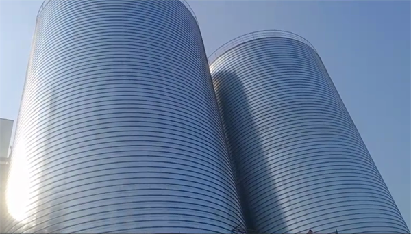 岷县2座混凝土高架卷板仓